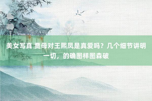 美女写真 贾母对王熙凤是真爱吗？几个细节讲明一切，的确图样图森破