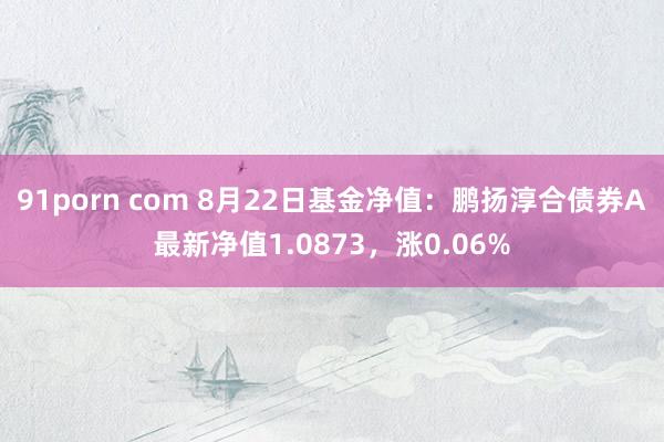 91porn com 8月22日基金净值：鹏扬淳合债券A最新净值1.0873，涨0.06%
