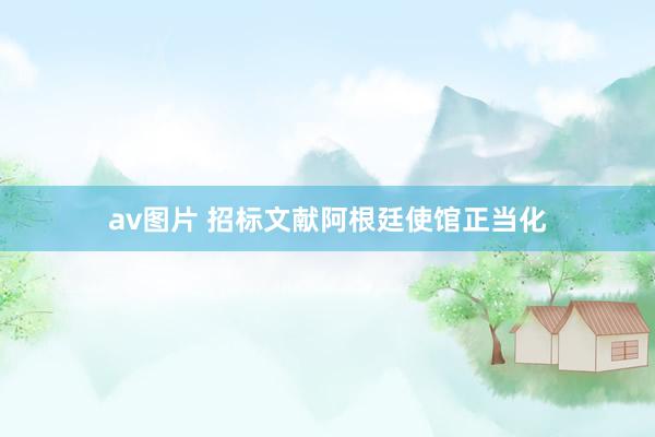 av图片 招标文献阿根廷使馆正当化