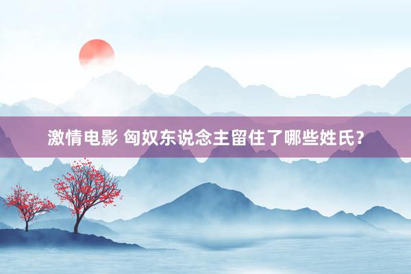 激情电影 匈奴东说念主留住了哪些姓氏？