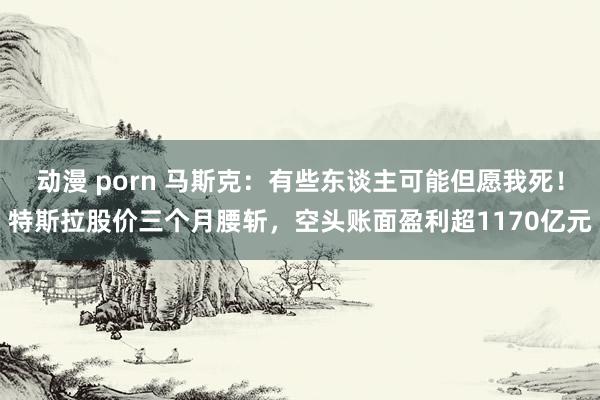 动漫 porn 马斯克：有些东谈主可能但愿我死！特斯拉股价三个月腰斩，空头账面盈利超1170亿元